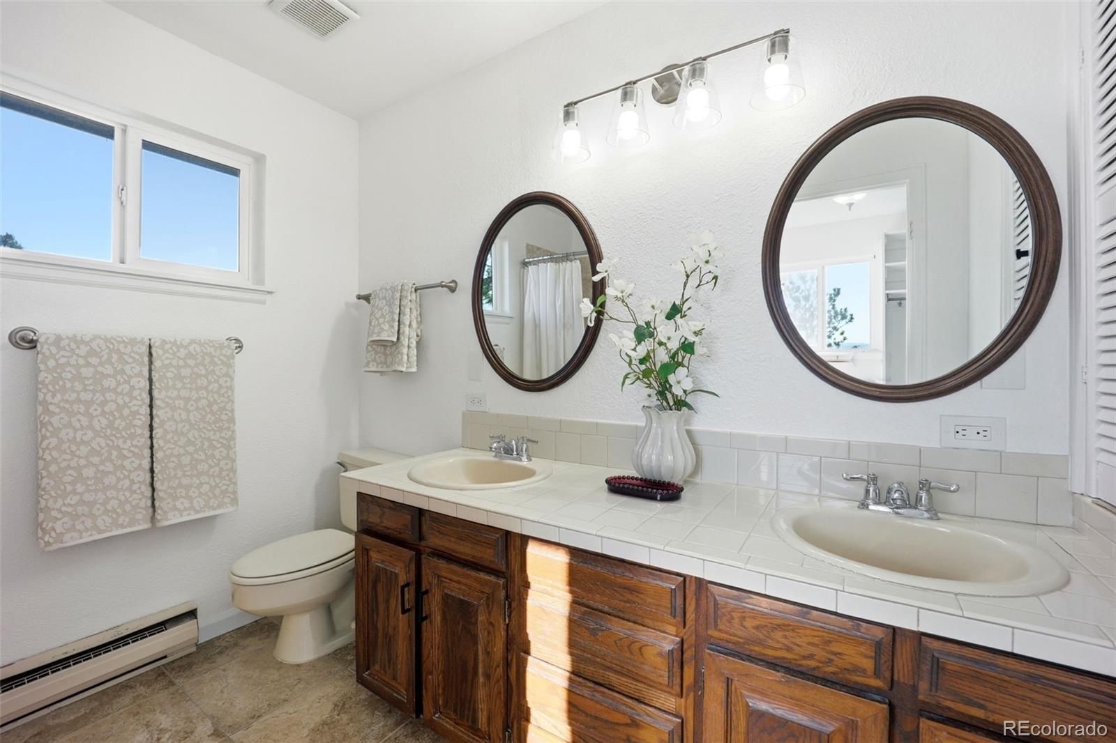 9212 East Tanglewood Road Franktown, CO 80116 - Photo 41 of 50 a bathroom with a toilet a sink and a mirror