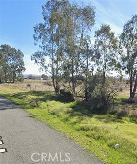 5160 Ranch House Road Sheridan, CA 95681 - Photo 8 of 25 a view of yard with tree