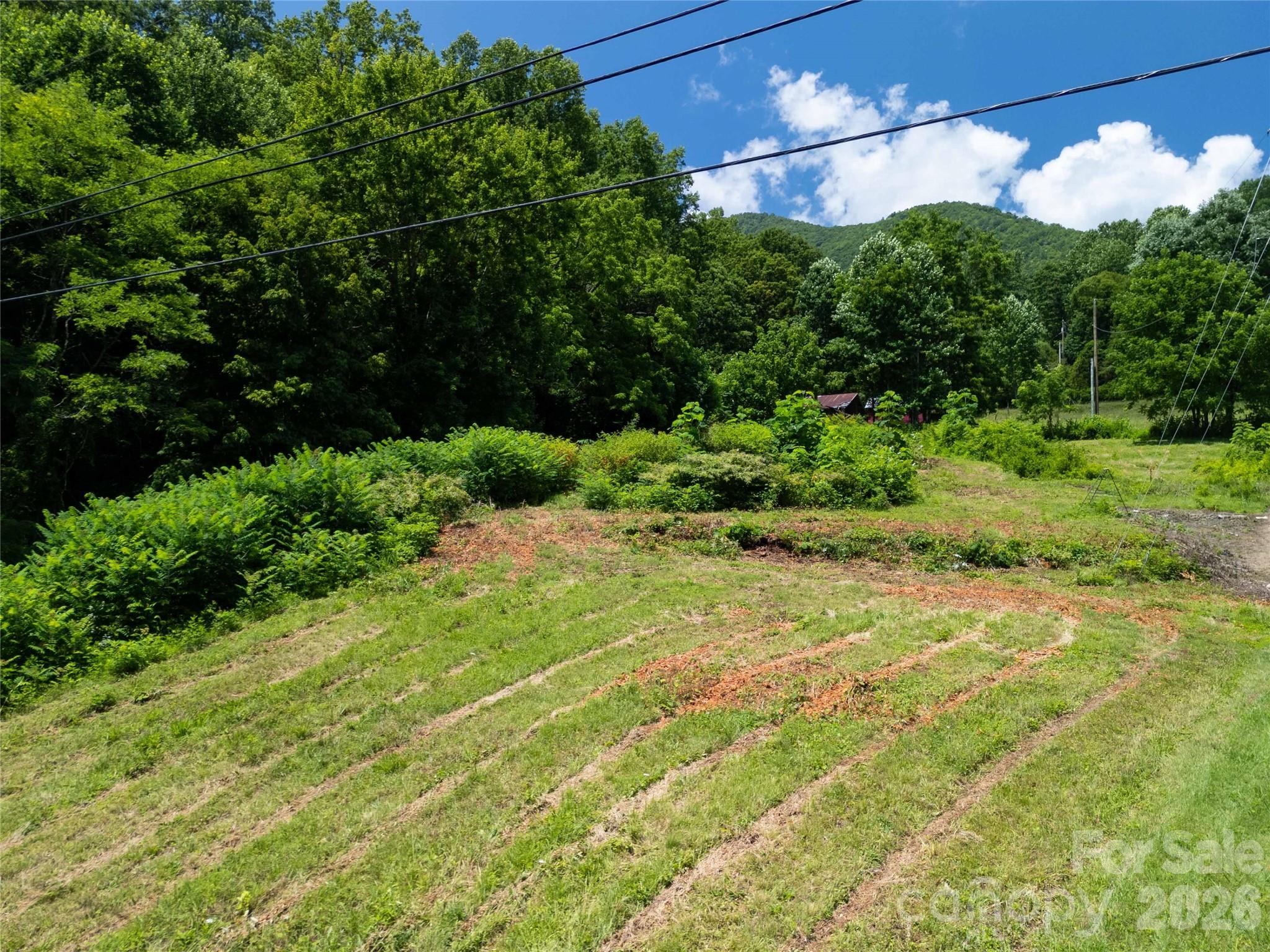 1249 Monteith Branch Road Sylva, NC 28779 - Photo 11 of 24 Gallery Image 11