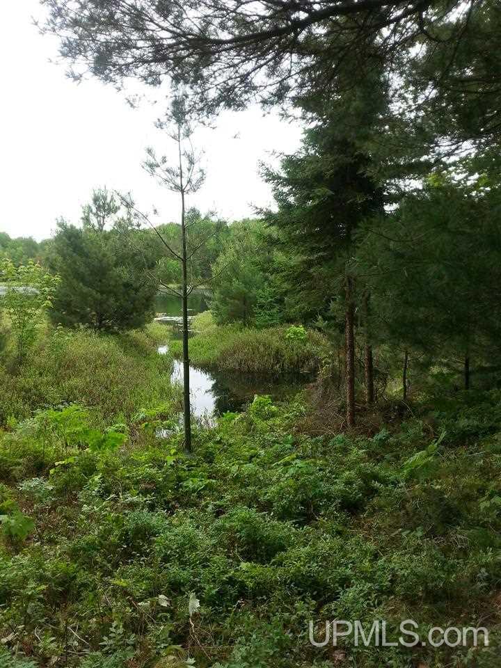Tbd Tbd Bietala Boy Road Wetmore, MI 49895 - Photo 26 of 30