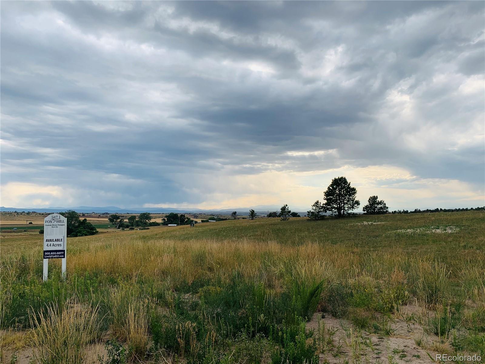 3166 Red Kit Road Franktown, CO 80116 - Photo 3 of 5 Gallery Image 3