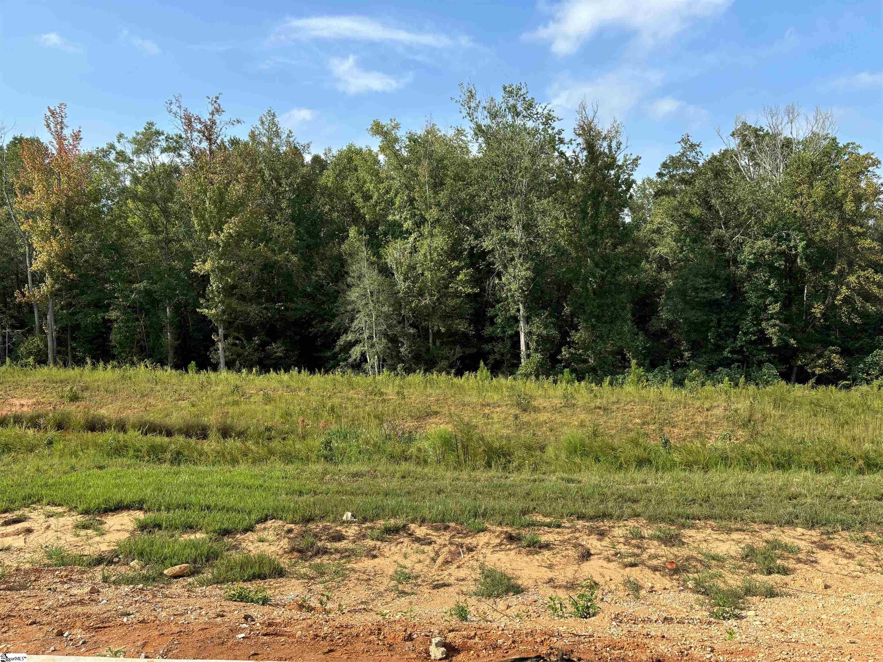 504 River Trce Loop Simpsonville, SC 29680 - Photo 8 of 9