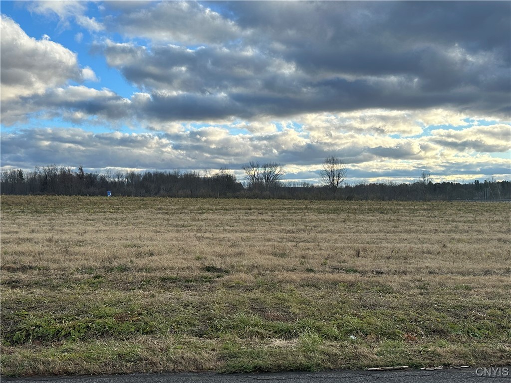 Eureka Road Rome, NY 13440 - Photo 4 of 7