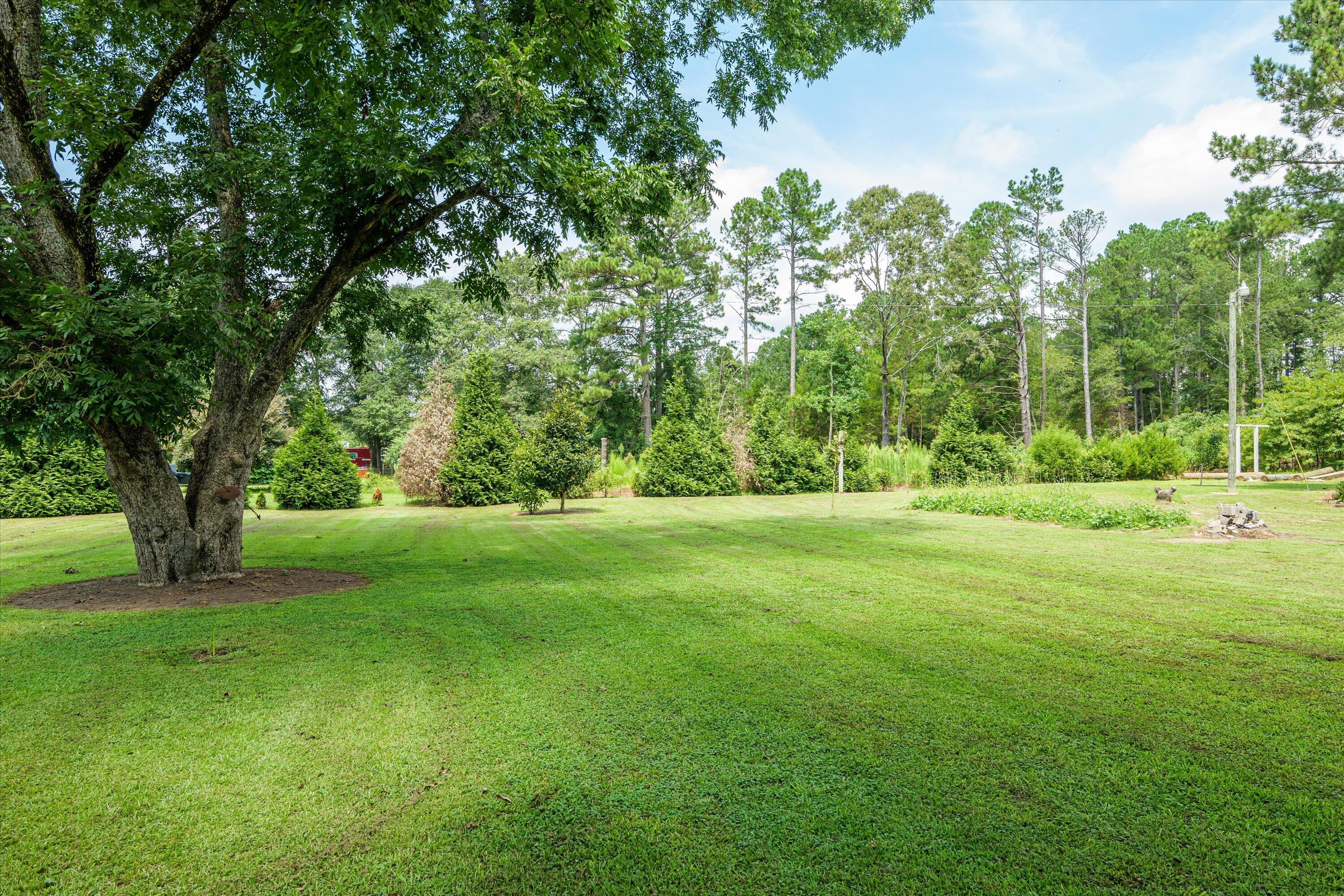 1195 Augusta Road Trenton, SC 29847 - Photo 7 of 42