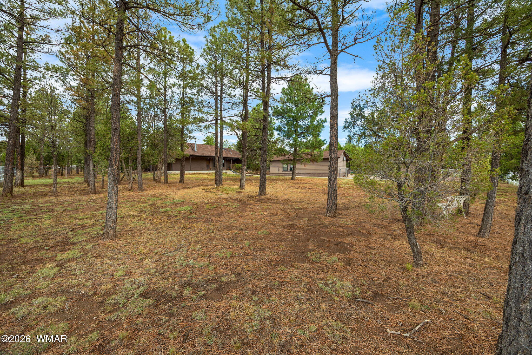 1955 Ricochet Ranch Road Overgaard, AZ 85933 - Photo 30 of 48 a view of a park with tree s