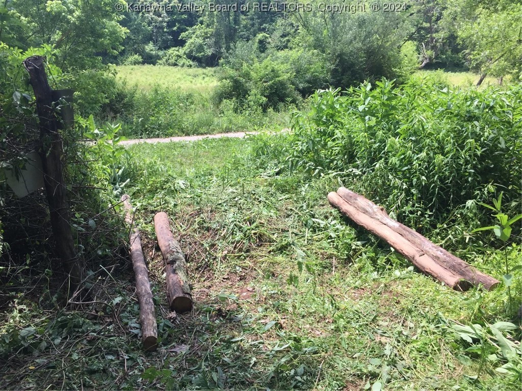 0 Fleshers Run Road Ravenswood, WV 26164 - Photo 4 of 7 Gallery Image 4