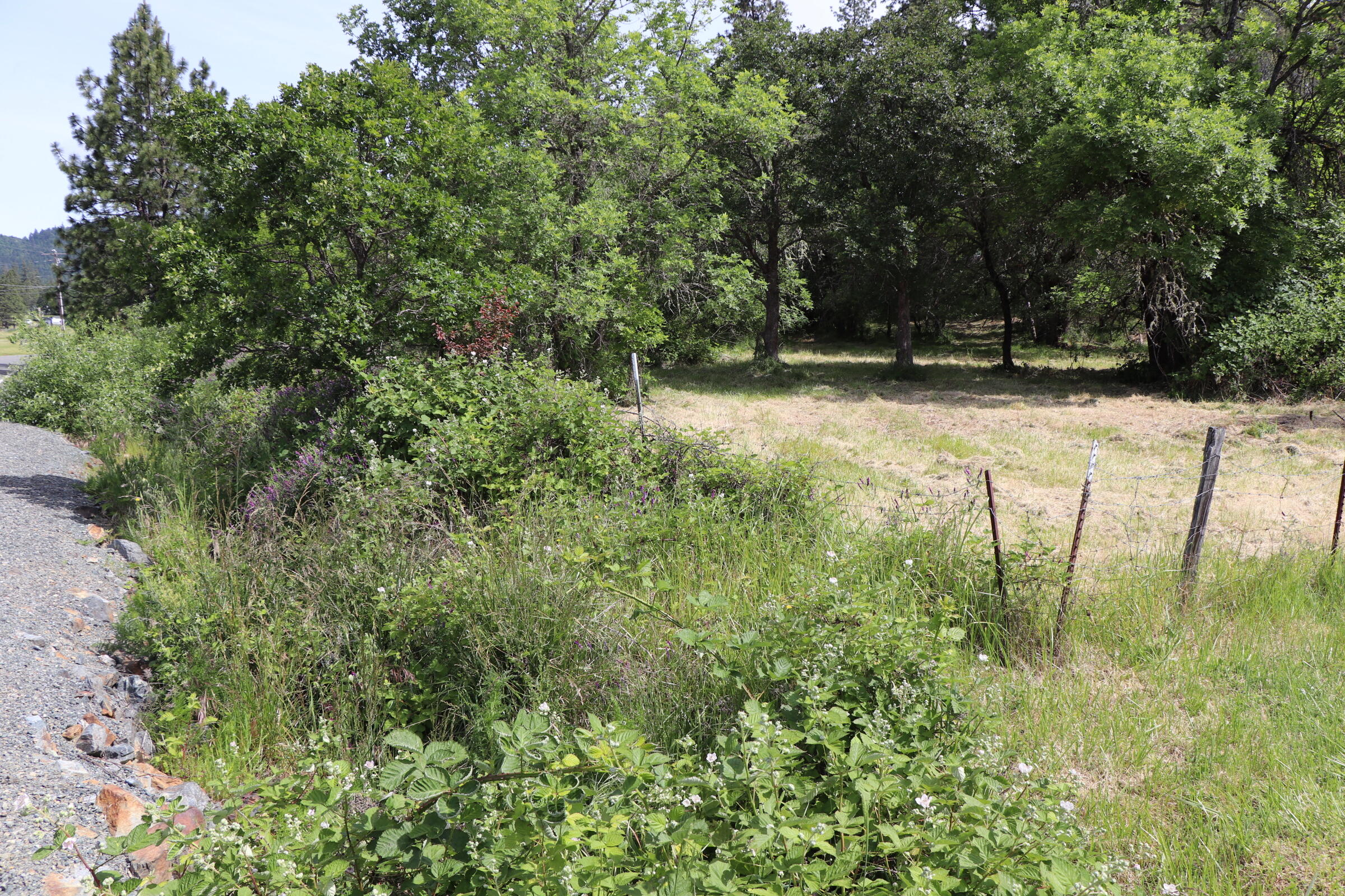 201 Monterico Road Grants Pass, OR 97526 - Photo 50 of 50 IMG_3104