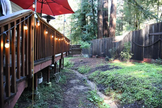 a view of a backyard with a shade house and tree