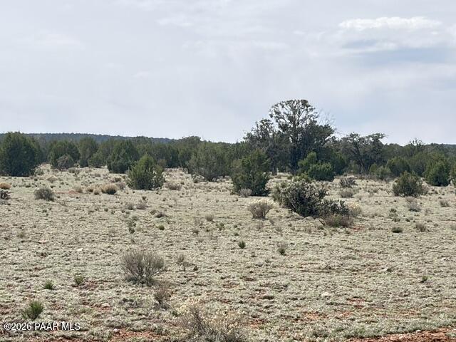 595 Ravens Rest Seligman, AZ 86337 - Photo 14 of 22 a view of a dry yard covered with snow