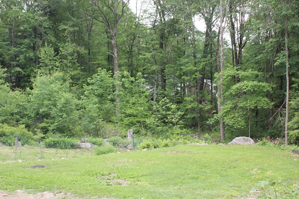 110 School House Road Phillipston, MA 01331 - Photo 22 of 22 a view of a lush green space