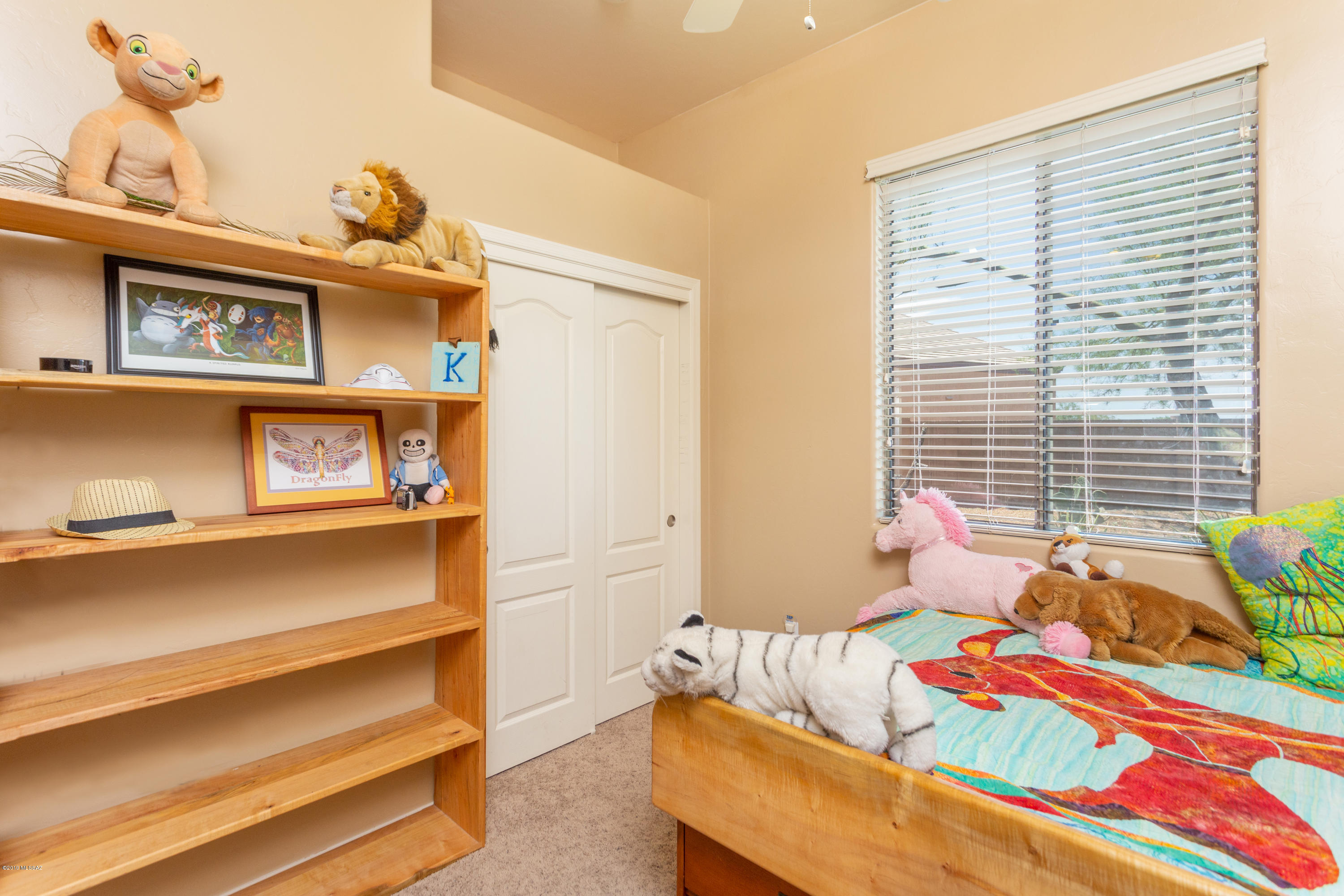 832 South Routh Place Vail, AZ 85641 - Photo 16 of 29 Gallery Image 16