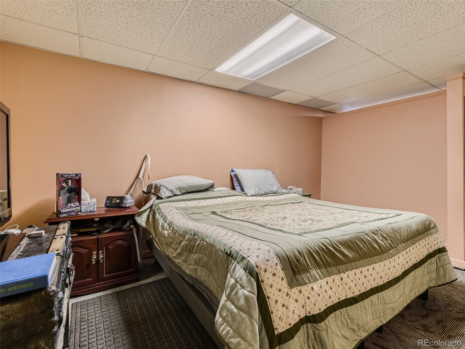 305 Rising Sun Road Bailey, CO 80421 - Photo 18 of 33