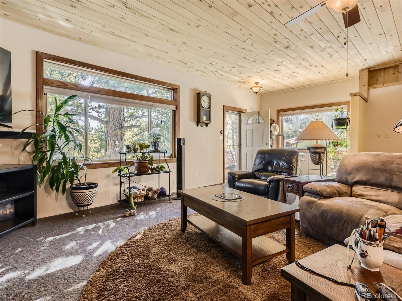 305 Rising Sun Road Bailey, CO 80421 - Photo 8 of 33