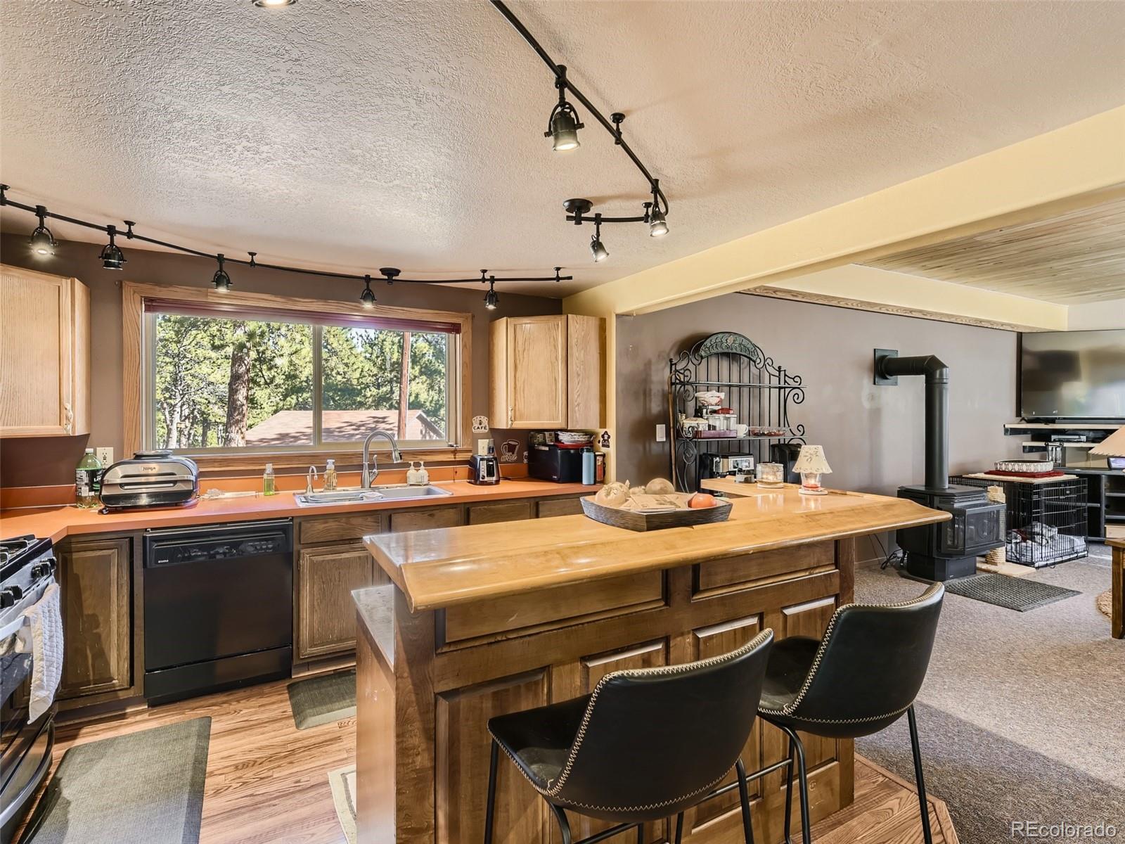 305 Rising Sun Road Bailey, CO 80421 - Photo 10 of 33