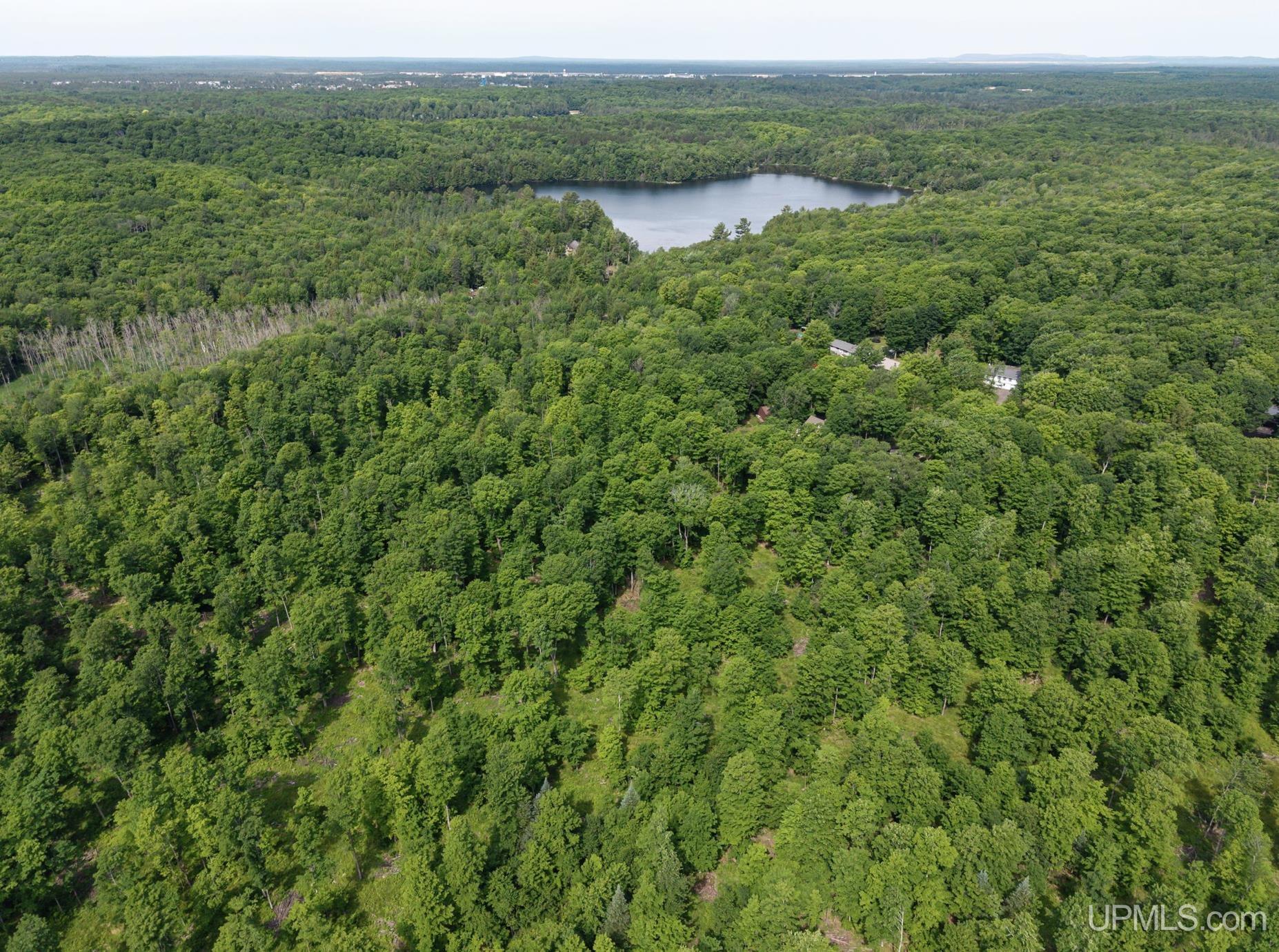 1658 Engman Lake Road Skandia, MI 49885 - Photo 40 of 50