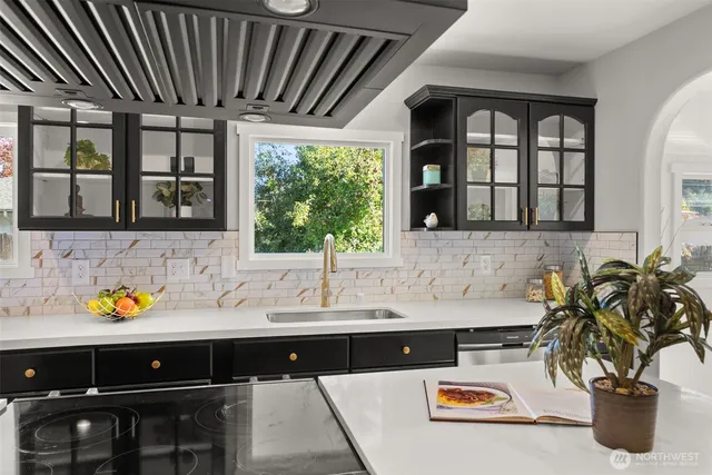 a kitchen with a sink and a potted plant