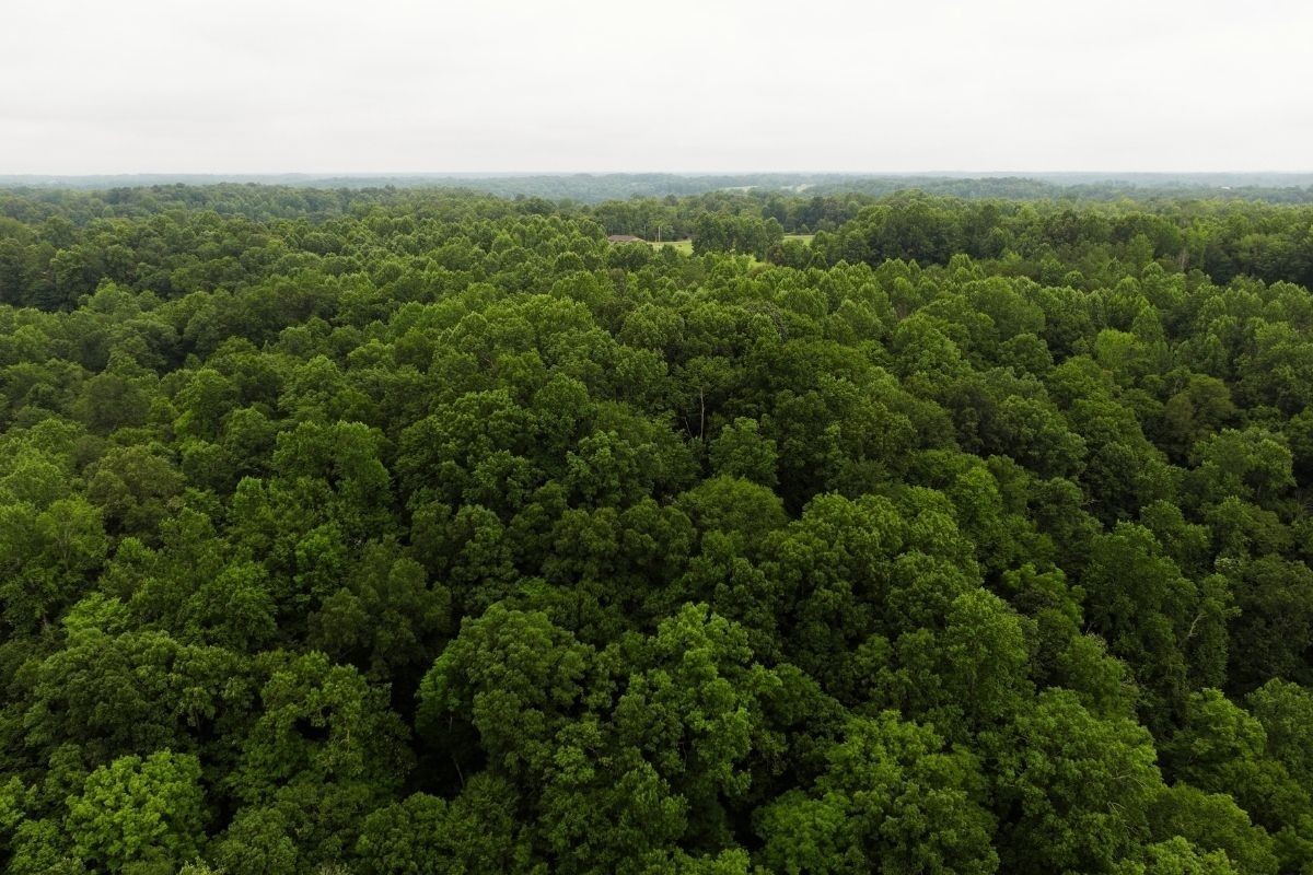 3650 Allen Bend Road Smithville, TN 37166 - Photo 2 of 13 Gallery Image 2