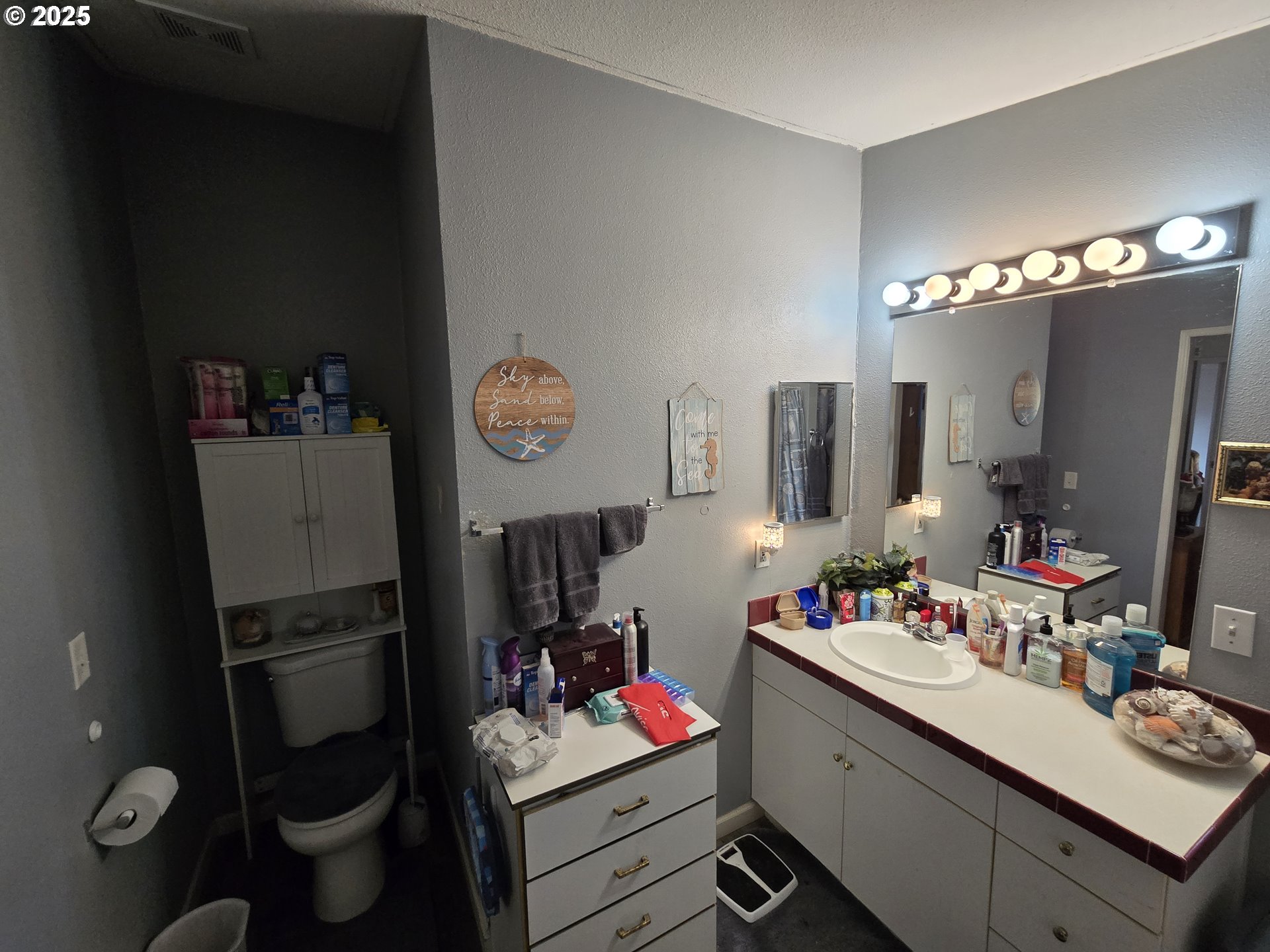 3200 Oak Terrace Drive, Unit 47 Lebanon, OR 97355 - Photo 15 of 24 a bathroom with a sink toilet and mirror