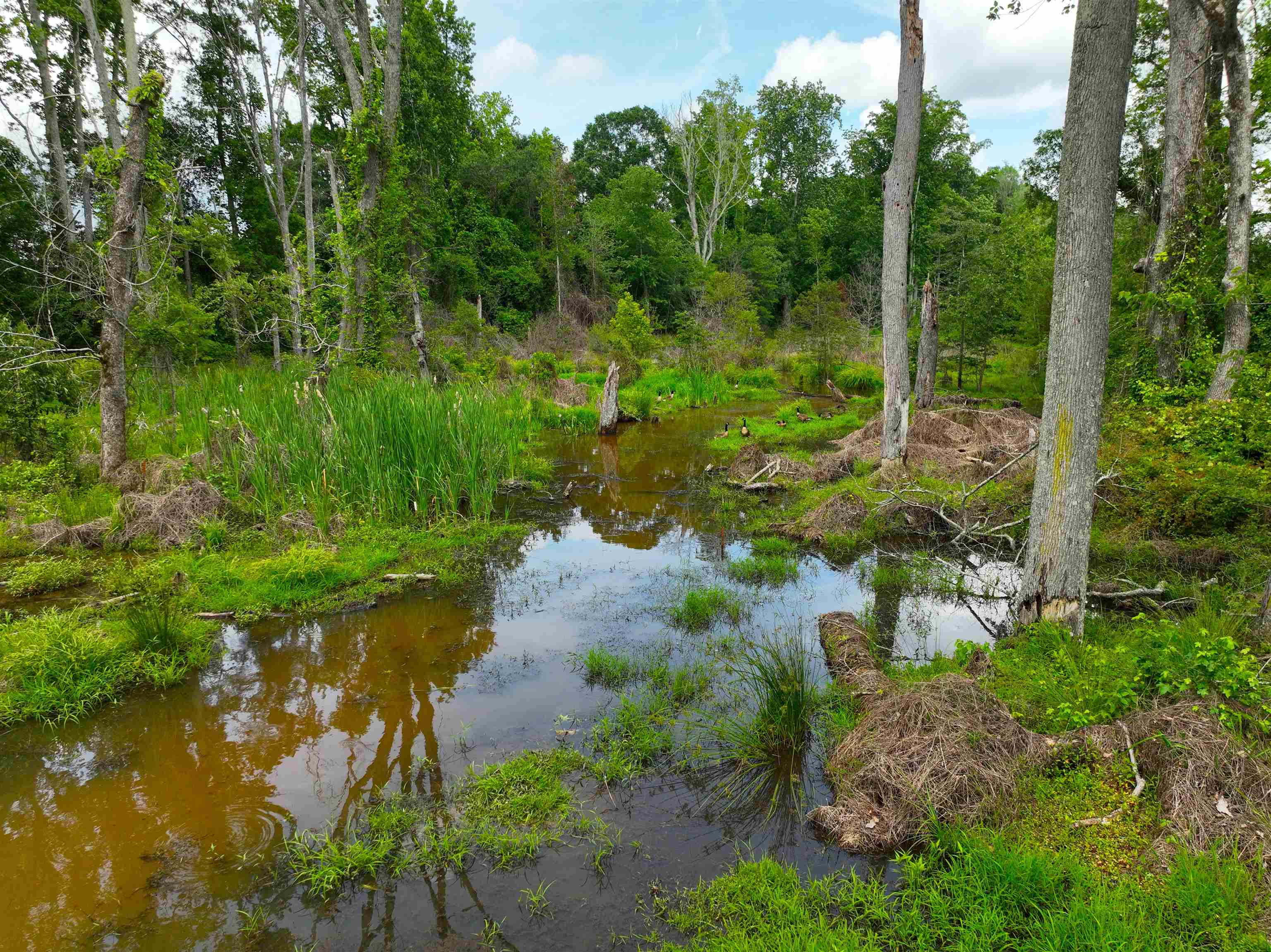 4173 Old Furnace Road Chesnee, SC 29323 - Photo 11 of 49 Gallery Image 11