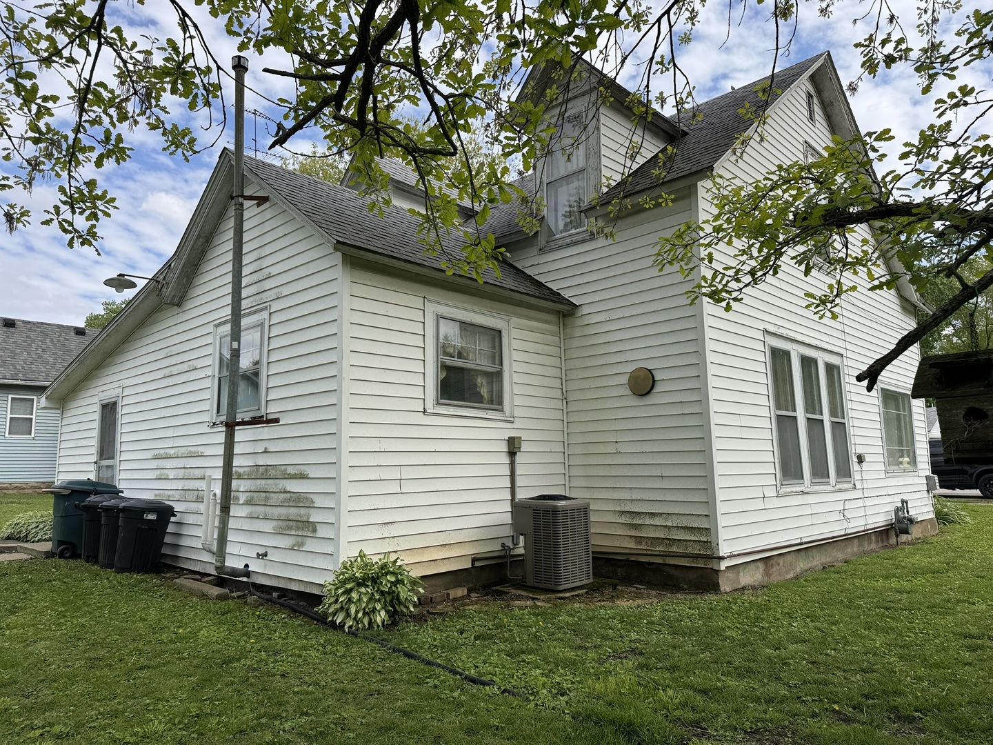 601 East Harrison Street Saybrook, IL 61770 - Photo 4 of 19