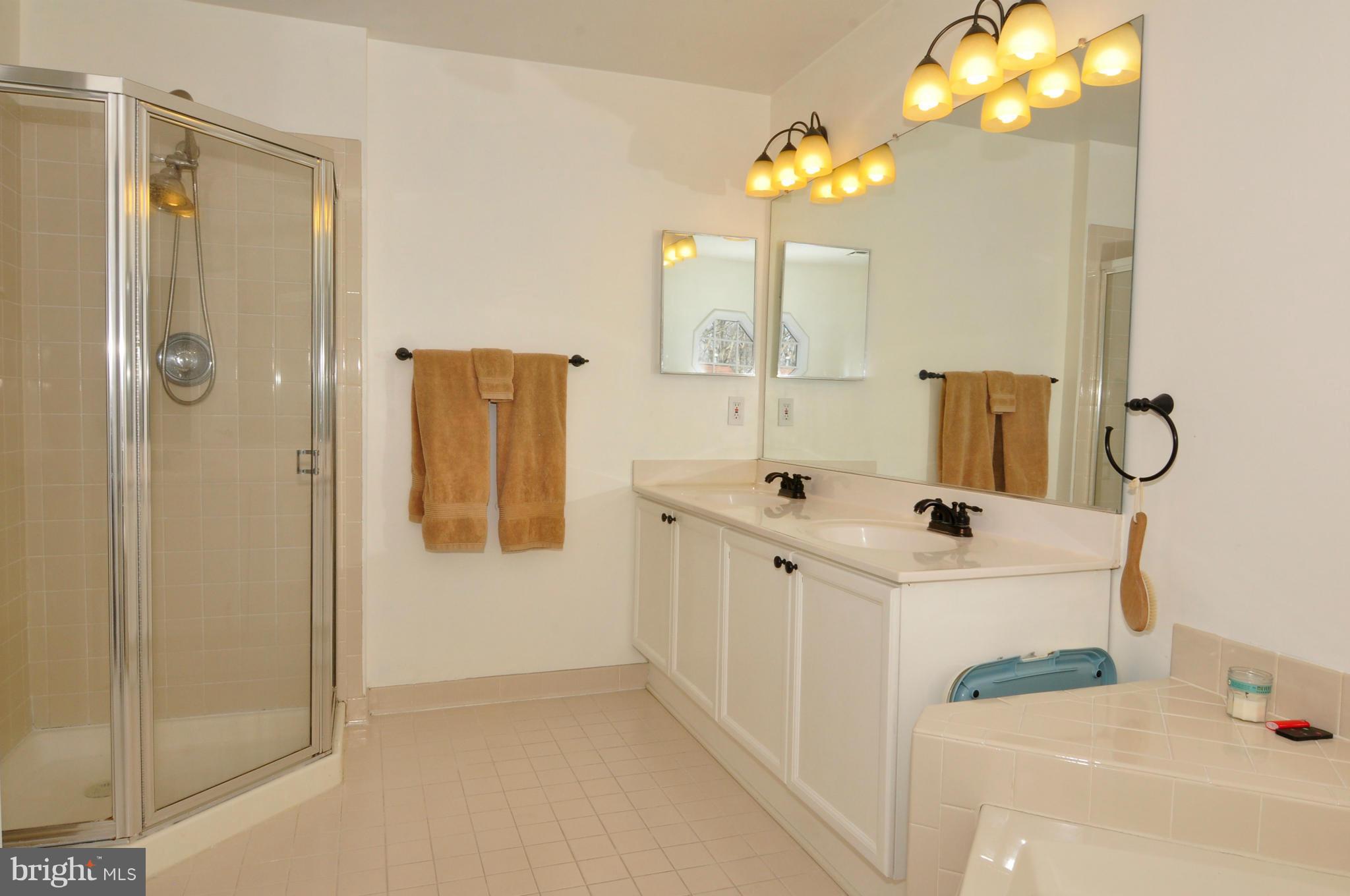 7291 Olde Lantern Way Springfield, VA 22152 - Photo 19 of 27 Bath (Master)