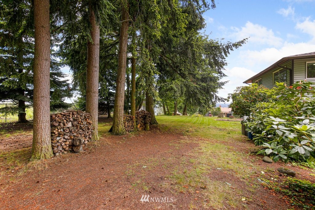 1015 Jones Avenue South Renton, WA 98057 - Photo 36 of 40 a view of a yard with plants and trees