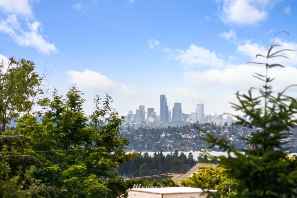 1015 Jones Avenue South Renton, WA 98057 - Photo 6 of 40 a view of a city with tall trees