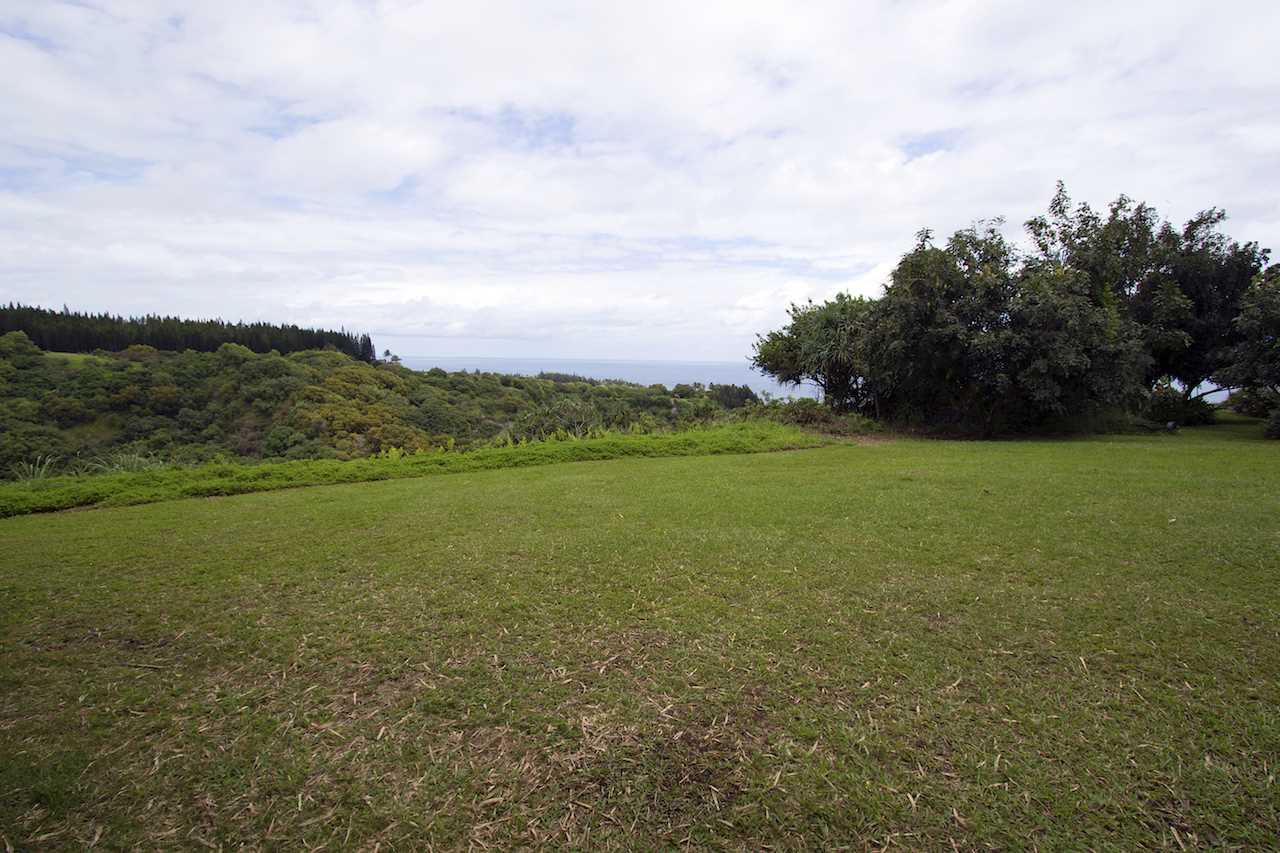0 Pono Road Haiku, HI 96708 - Photo 11 of 20 a view of a field with an ocean