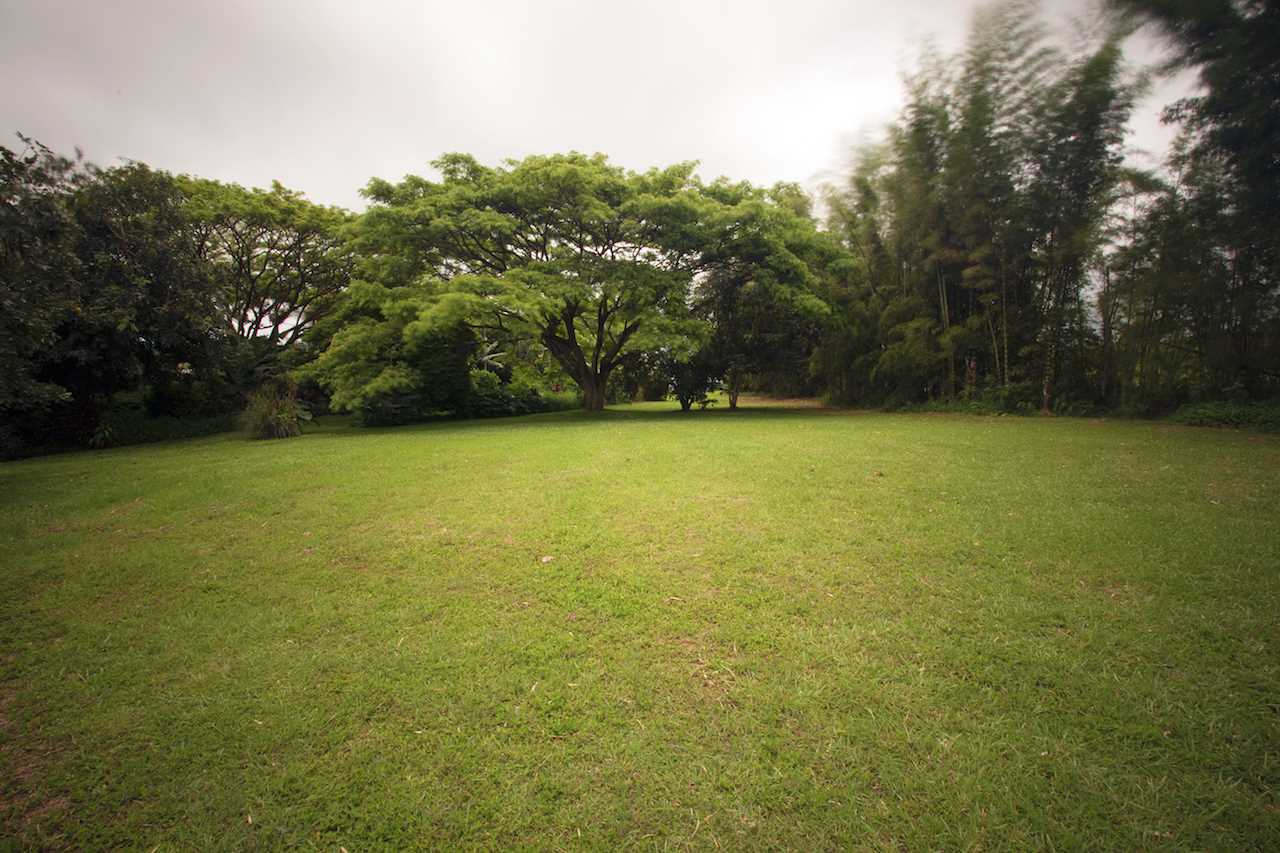 0 Pono Road Haiku, HI 96708 - Photo 14 of 20 a view of a large yard with plants and large trees