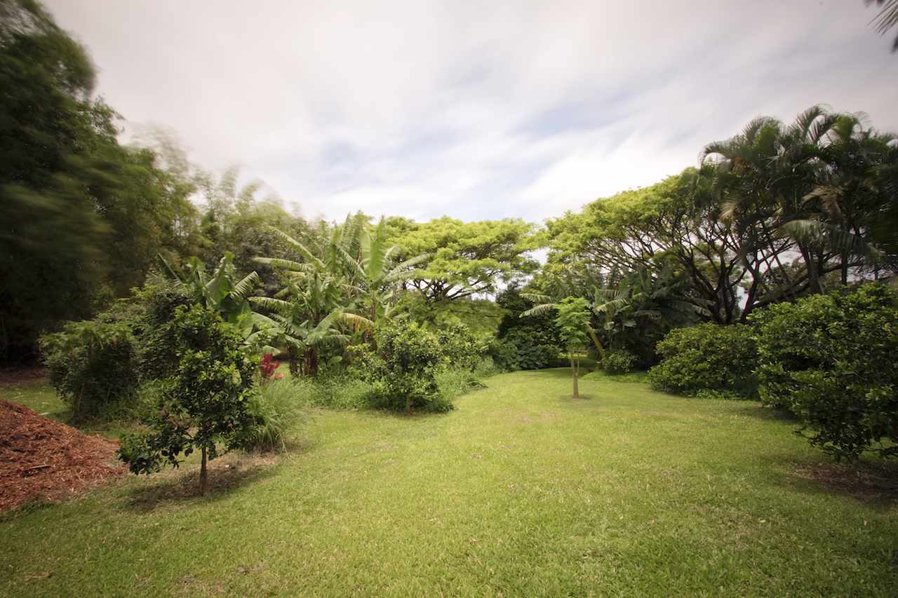 0 Pono Road Haiku, HI 96708 - Photo 15 of 20 a view of an empty room with a yard
