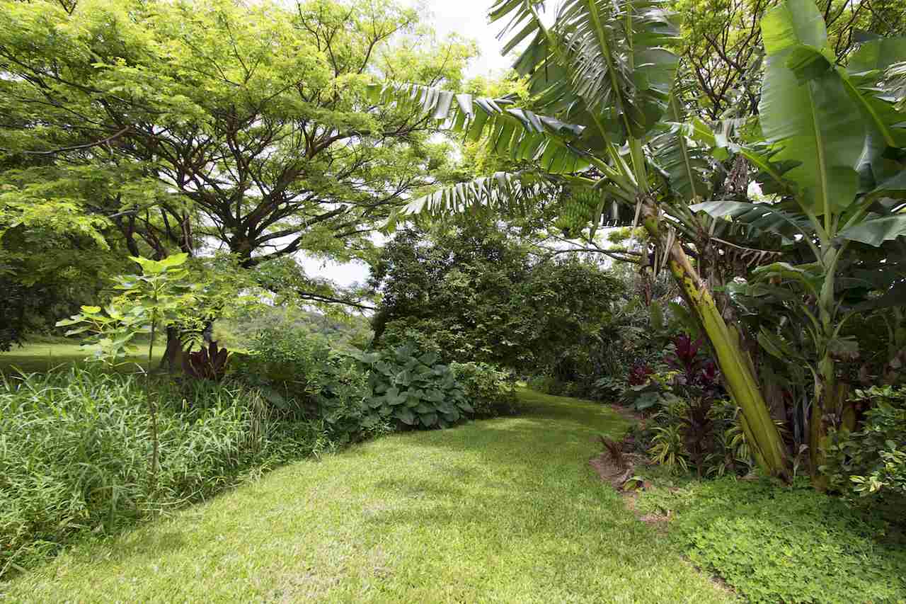 0 Pono Road Haiku, HI 96708 - Photo 18 of 20 a view of a yard