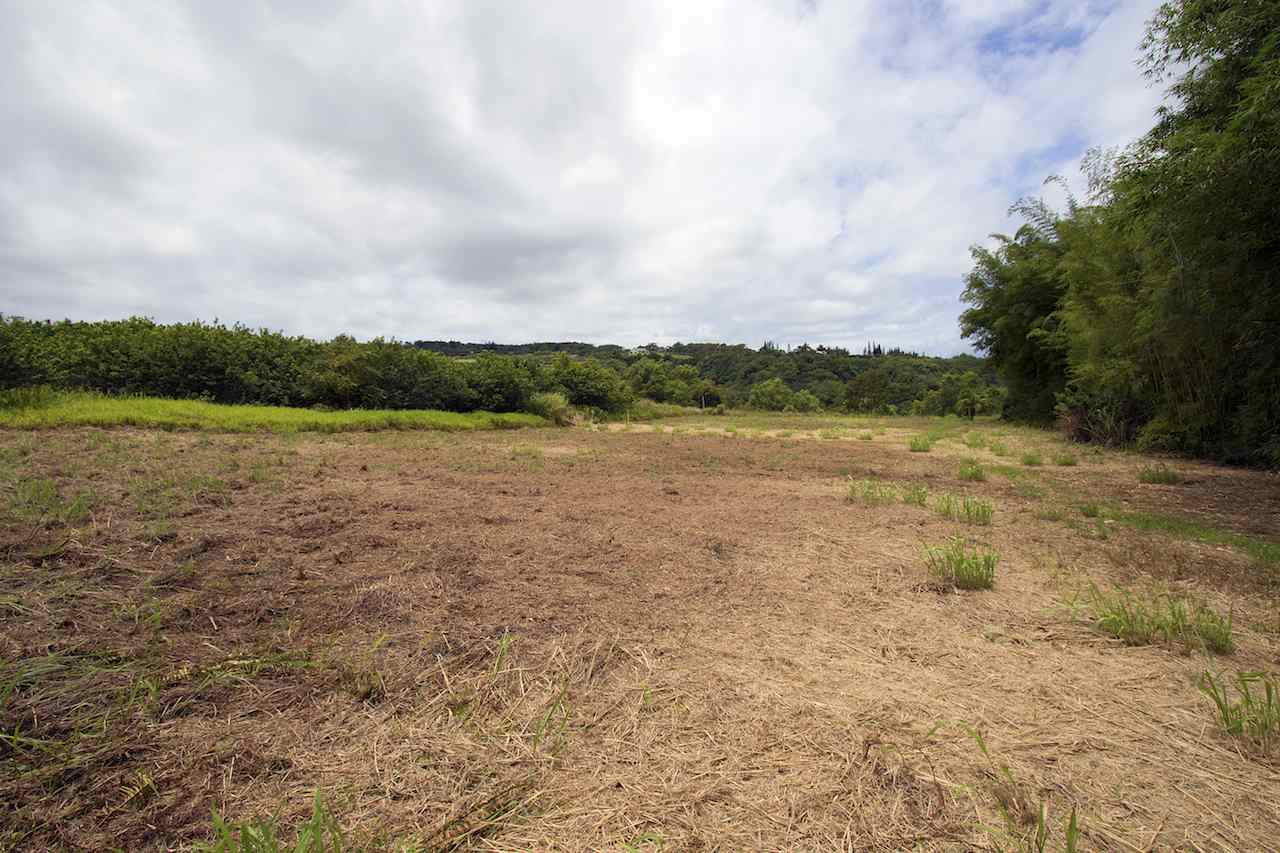 0 Pono Road Haiku, HI 96708 - Photo 19 of 20 a view of lake