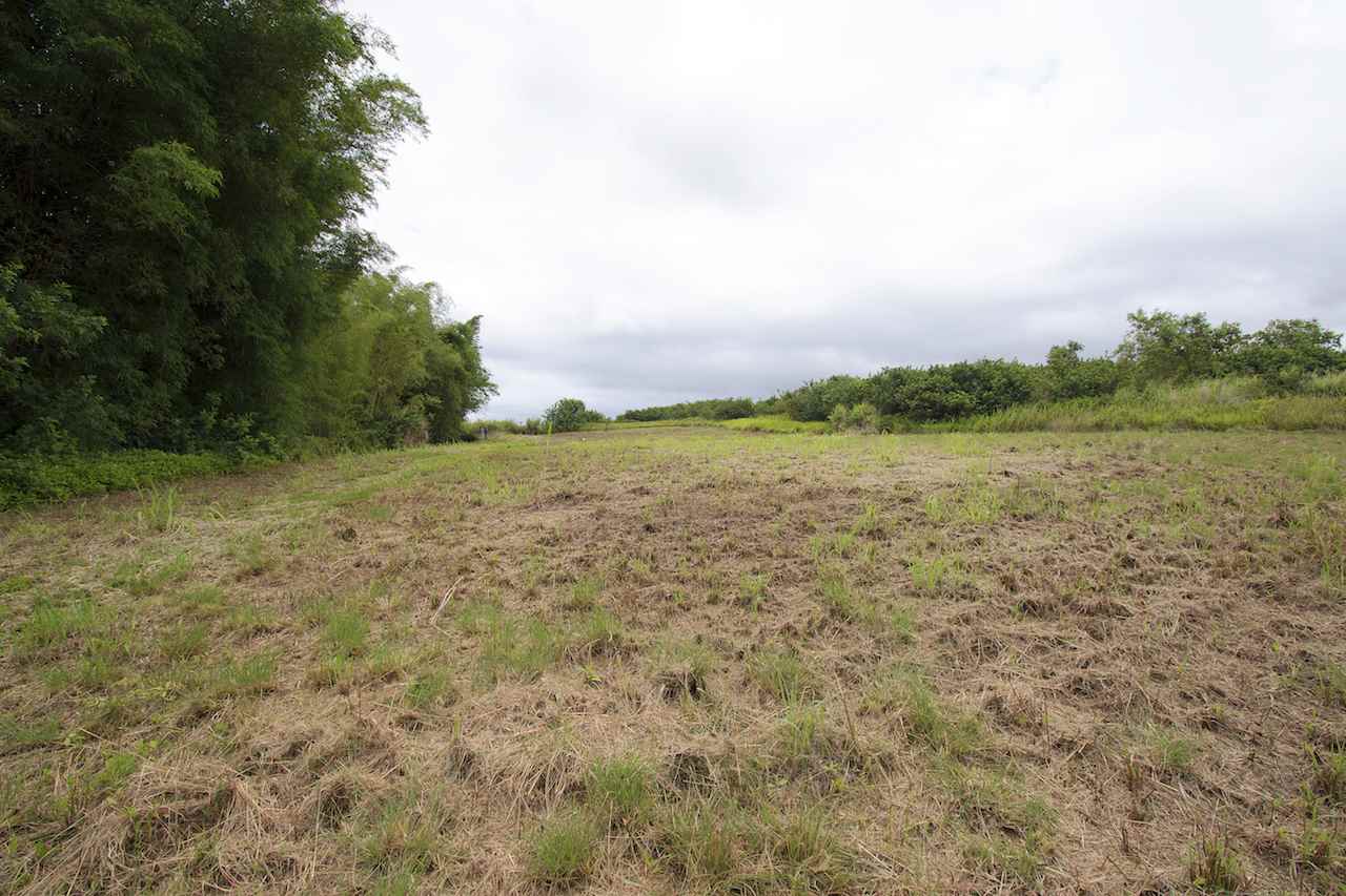0 Pono Road Haiku, HI 96708 - Photo 20 of 20 a view of a field with an trees