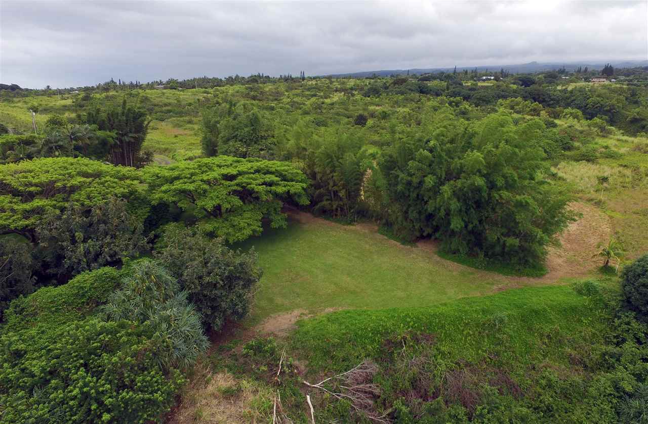 0 Pono Road Haiku, HI 96708 - Photo 5 of 20 a view of a big yard with plants and large trees