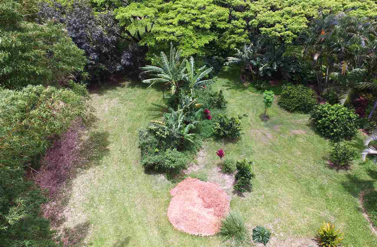 0 Pono Road Haiku, HI 96708 - Photo 6 of 20