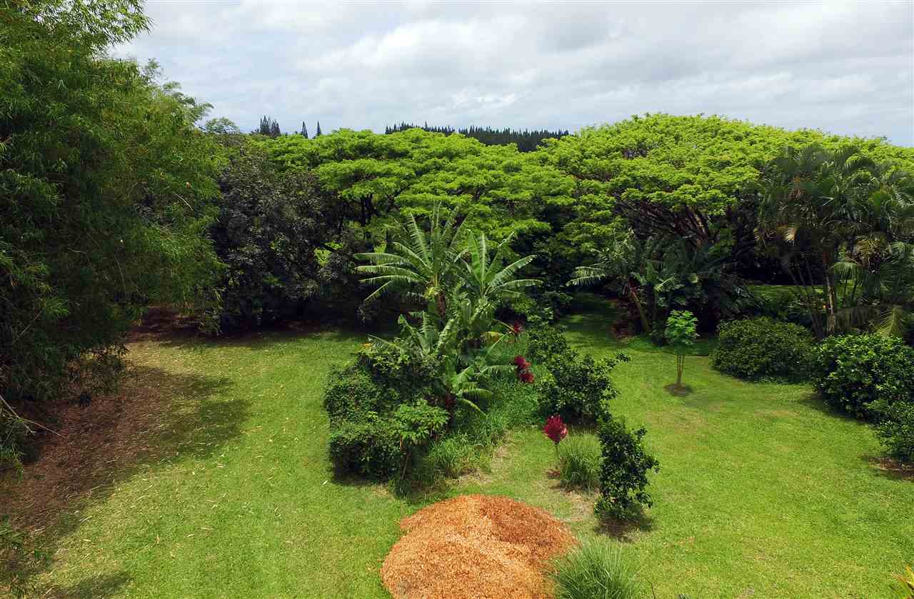 0 Pono Road Haiku, HI 96708 - Photo 7 of 20 a view of a garden