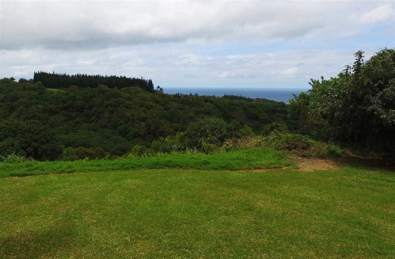 0 Pono Road Haiku, HI 96708 - Photo 8 of 20 a view of a field and mountains in background