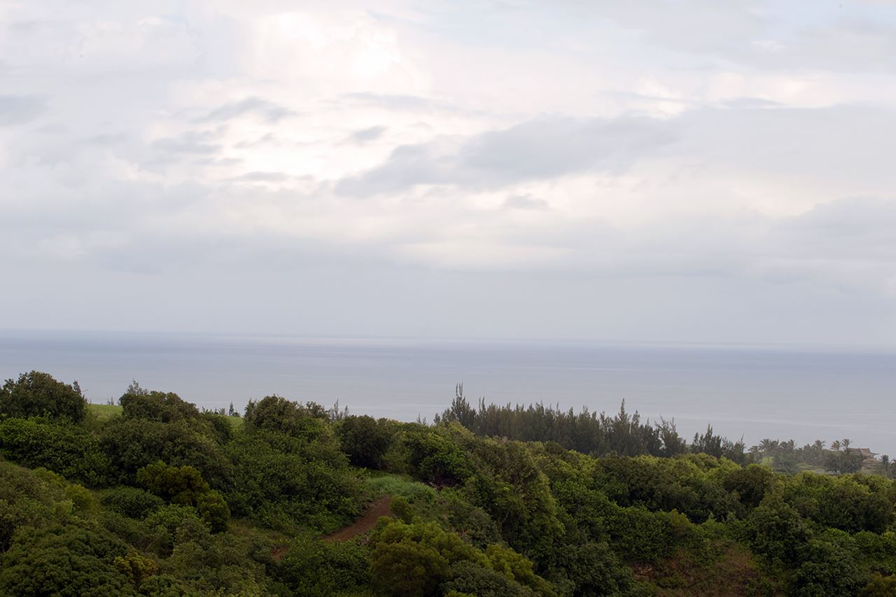 0 Pono Road Haiku, HI 96708 - Photo 9 of 20 an aerial view of a city and trees