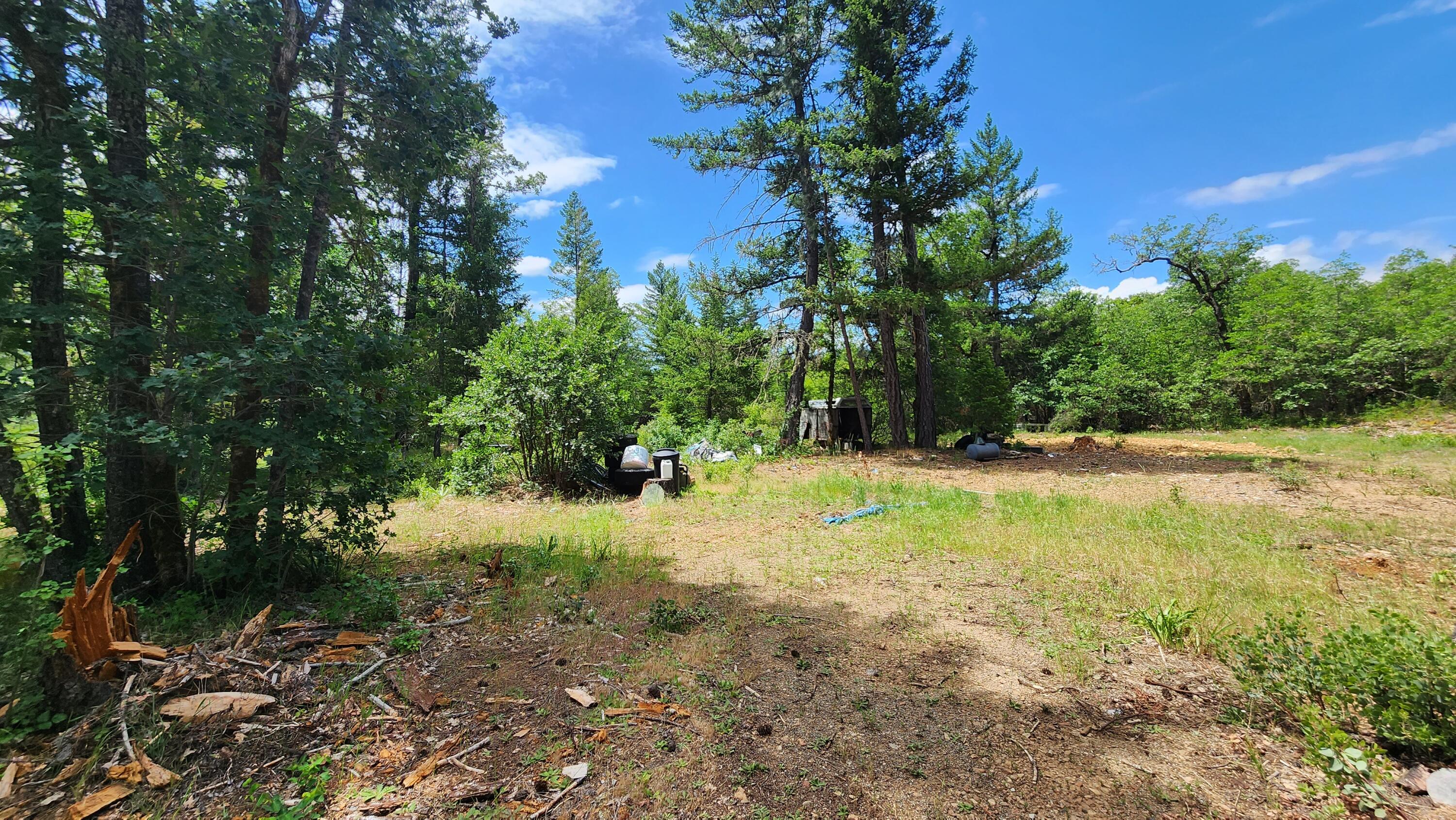 5894 Rockydale Road Cave Junction, OR 97523 - Photo 5 of 23 20230608_120743