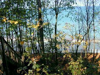15832 Lakeshore Road Union Pier, MI 49129 - Photo 10 of 10 Additional Photo