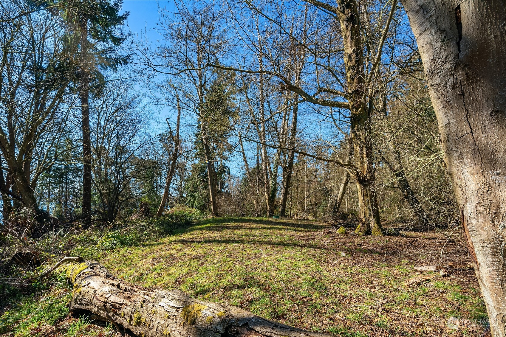 12414 Southwest Bachelor Road Vashon, WA 98070 - Photo 20 of 24 Gallery Image 20