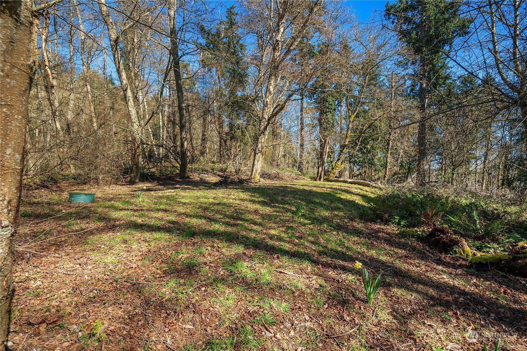 12414 Southwest Bachelor Road Vashon, WA 98070 - Photo 21 of 24 Gallery Image 21
