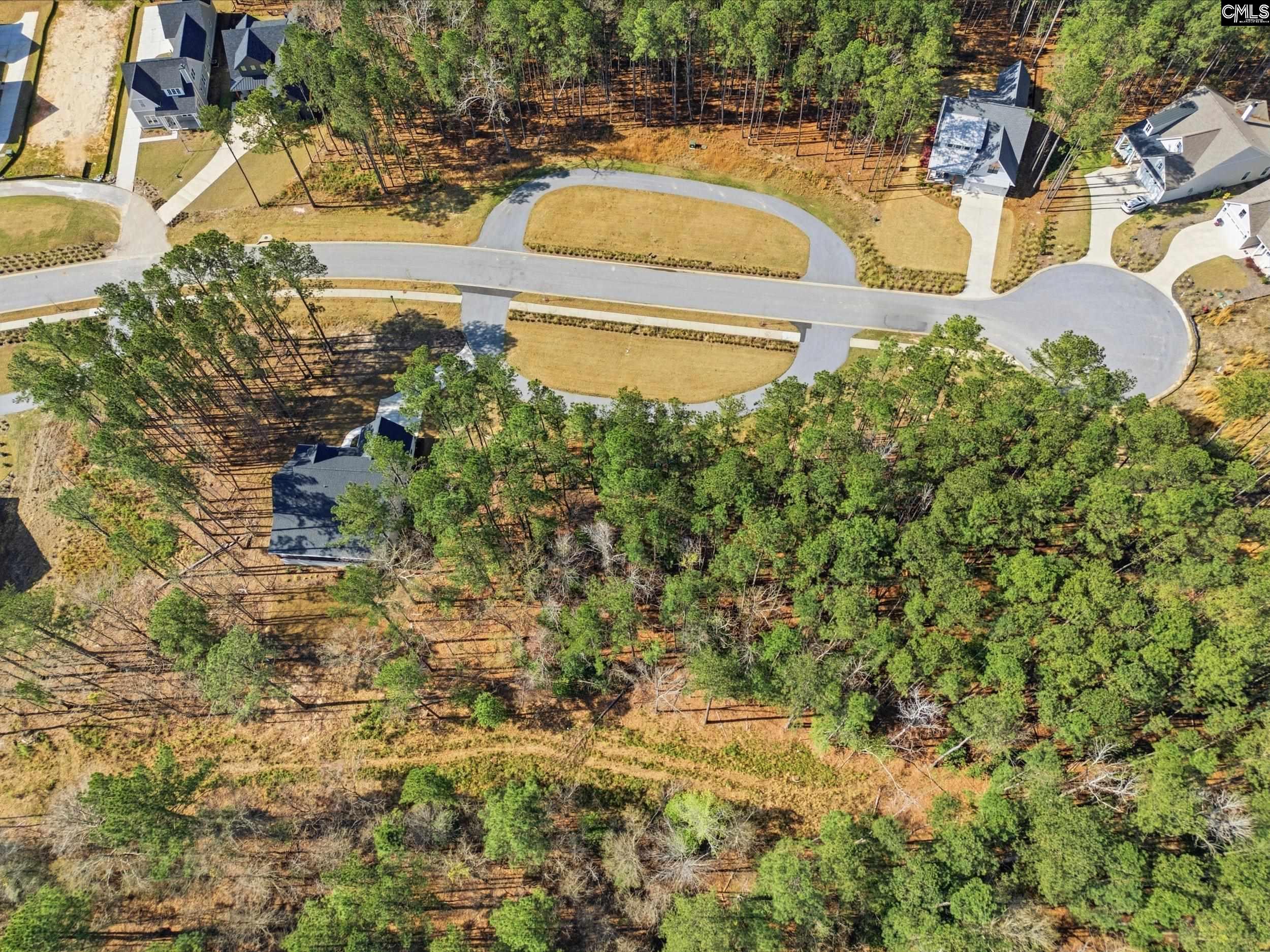 0 Timber Trl Lane Prosperity, SC 29127 - Photo 7 of 32