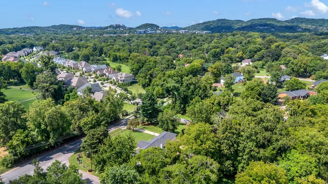 a view of a lush green hillside and a houses