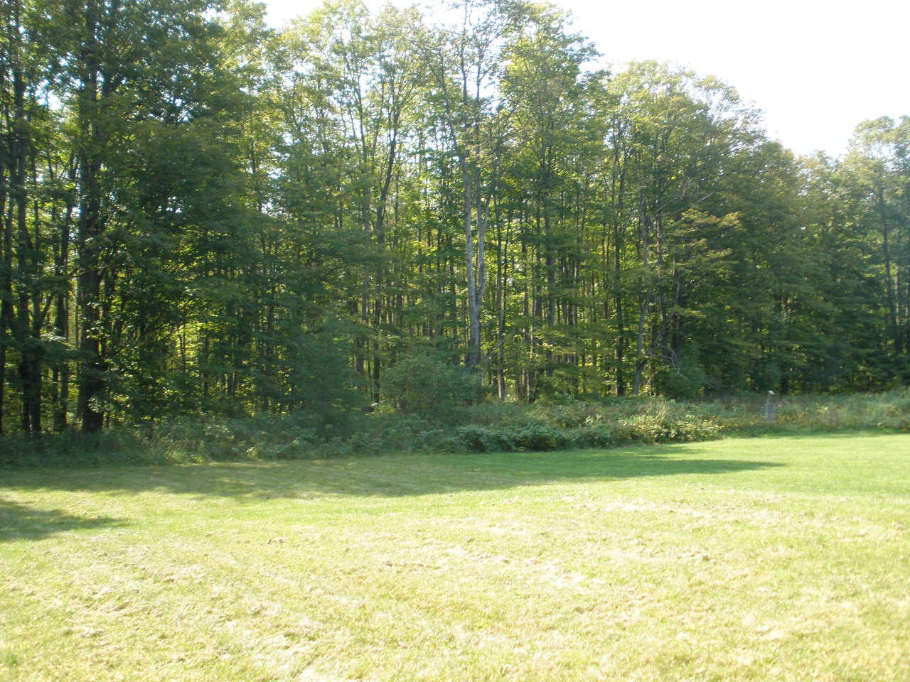 23256 South Church Road Moran, MI 49760 - Photo 22 of 26 Gallery Image 22
