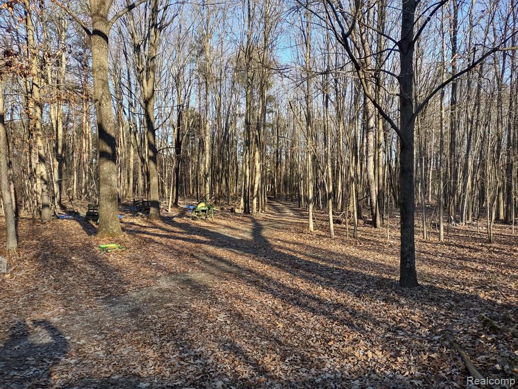 15056 South Duffield Road Byron, MI 48418 - Photo 22 of 23