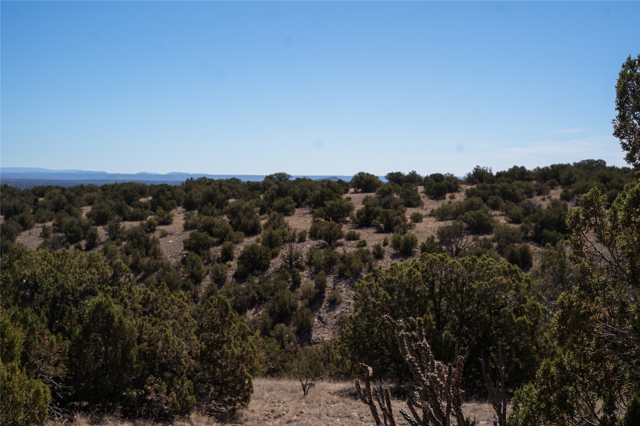 7 C Rancho De Shama, Unit B Cerrillos, NM 87010 - Photo 7 of 26