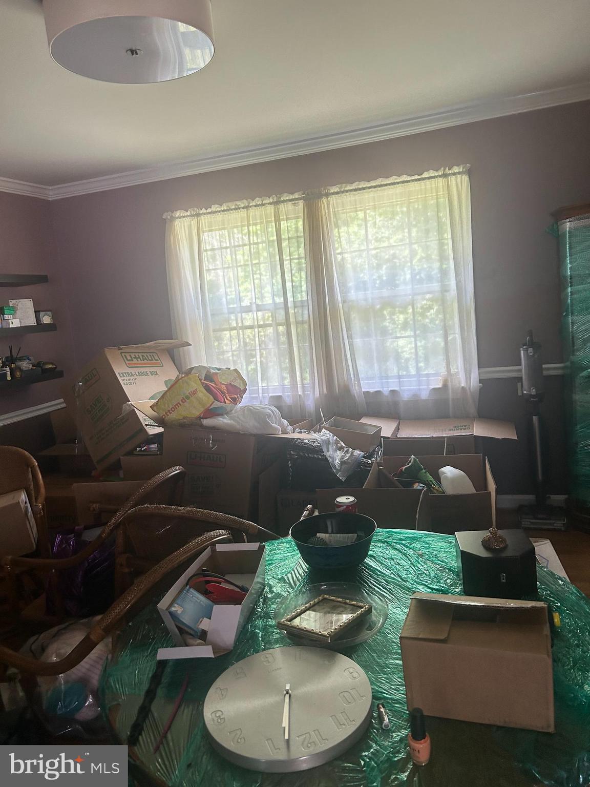 11500 Chantilly Lane Bowie, MD 20721 - Photo 4 of 13 a living room with furniture and a window