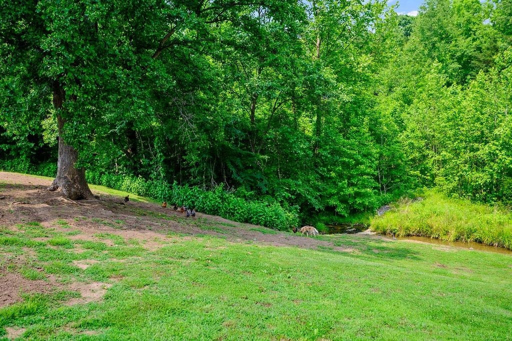 1664 Woodsdale Road Roxboro, NC 27574 - Photo 8 of 50 a view of a yard with plants and a trees