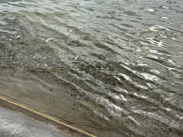 $779,900 | 704 Pearl Beach Drive South, Coldwater, MI 49036